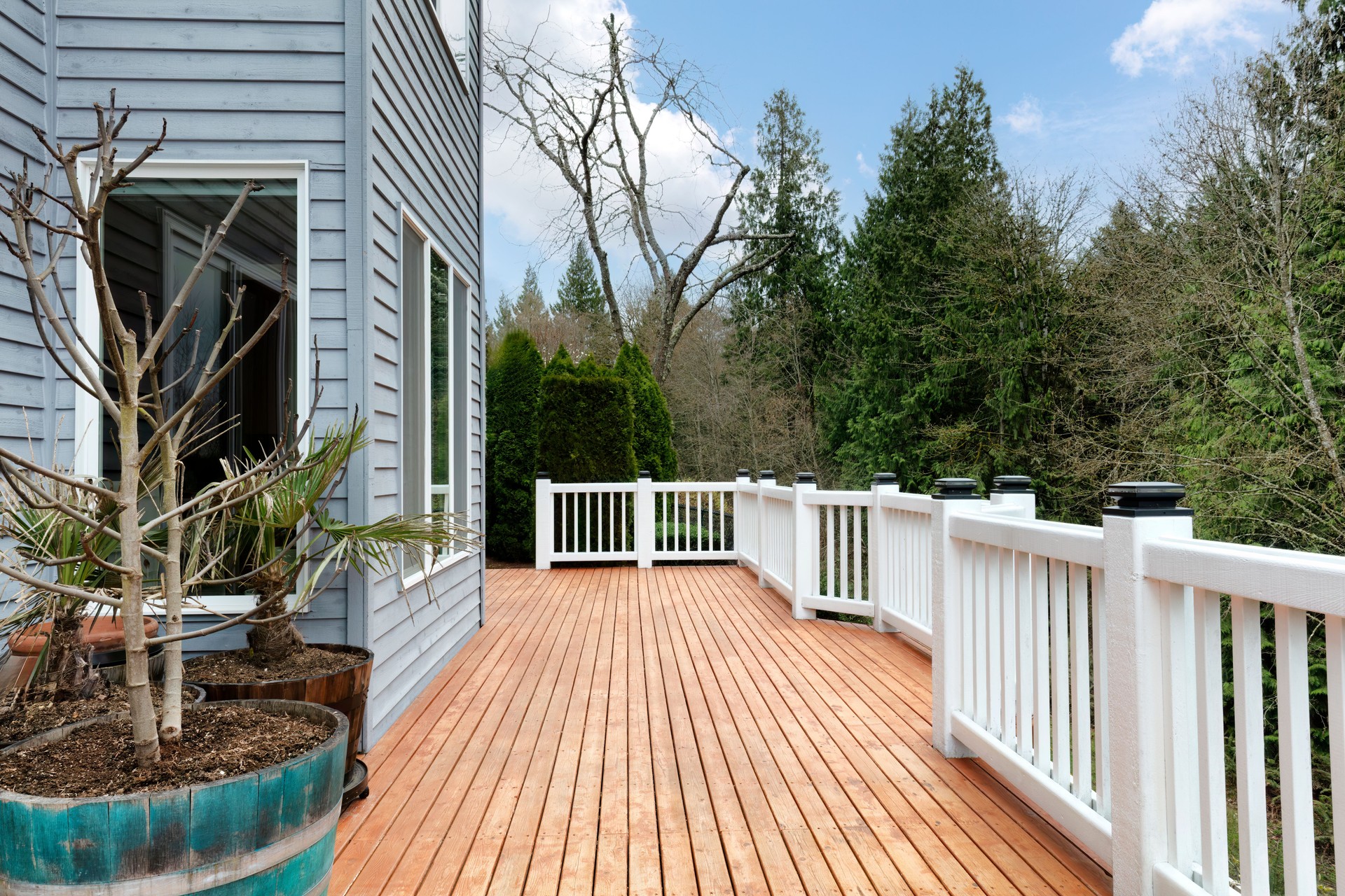 Freshly stain large home walk out cedar wood deck patio during early spring